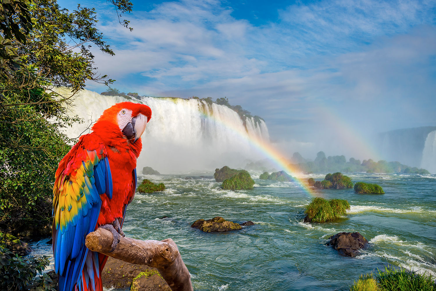 cataratasimagen